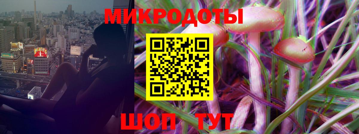 Псилоцибиновые грибы GOLDEN TEACHER Саяногорск